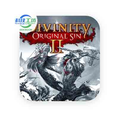 Divinity: Original Sin 2 神界：原罪 2 RPG游戏经典之作 v3.6.117.3735