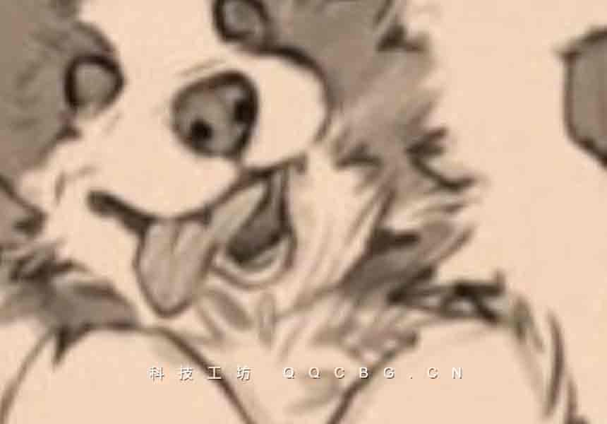 凶猛悍兔动物插画速写课2025 44